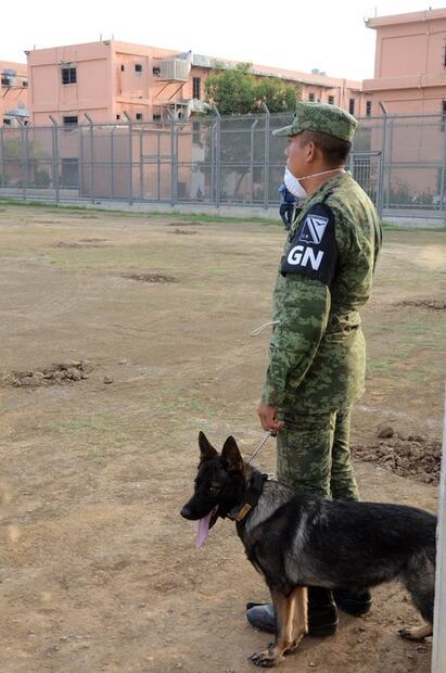 Con perros y radares, agentes buscan fosas clandestinas en penal de Topo Chico