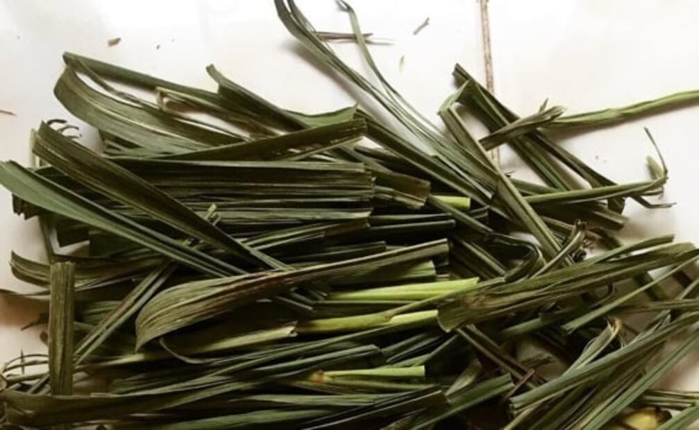 Descubre qué es el té limón y cuáles son sus beneficios a la salud