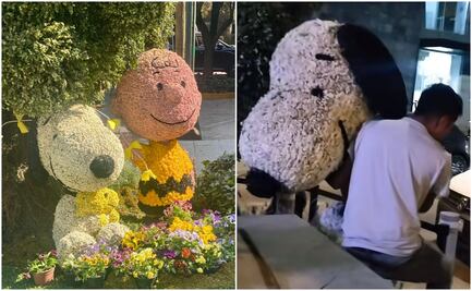 Festival de las Flores en CDMX; captan presunto robo de arreglo floral de Snoopy en Polanco