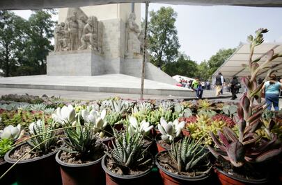 Esperan a más de 20 mil visitantes en la Feria de las Flores