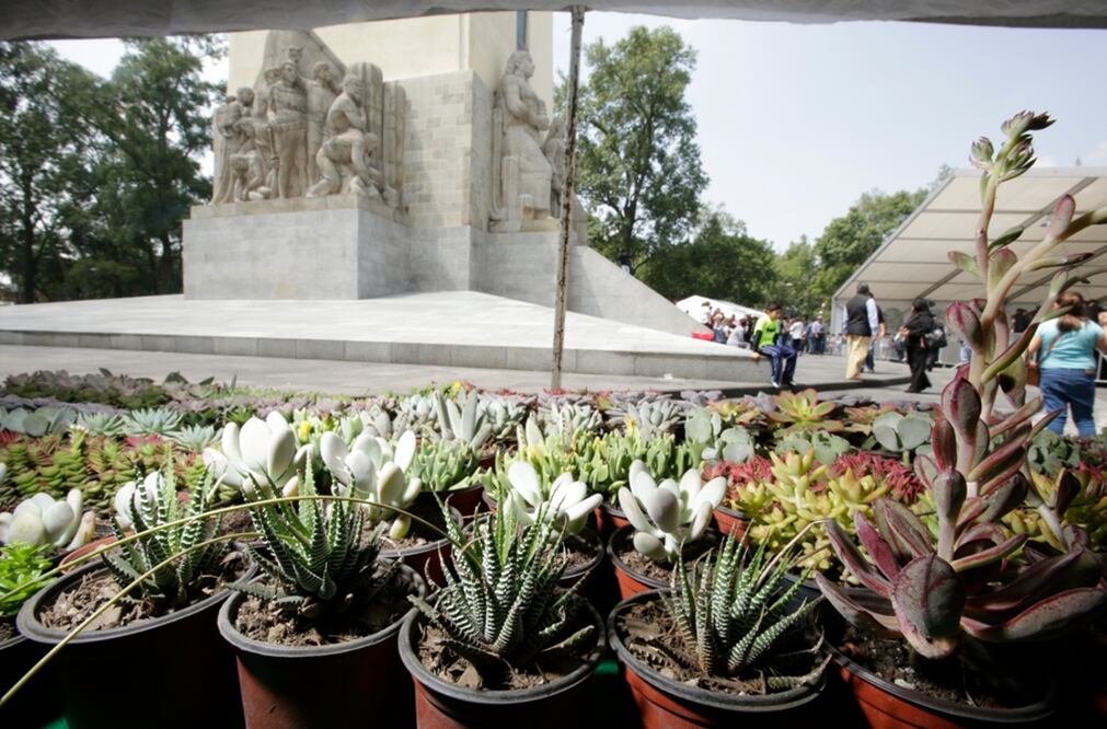 Esperan a más de 20 mil visitantes en la Feria de las Flores