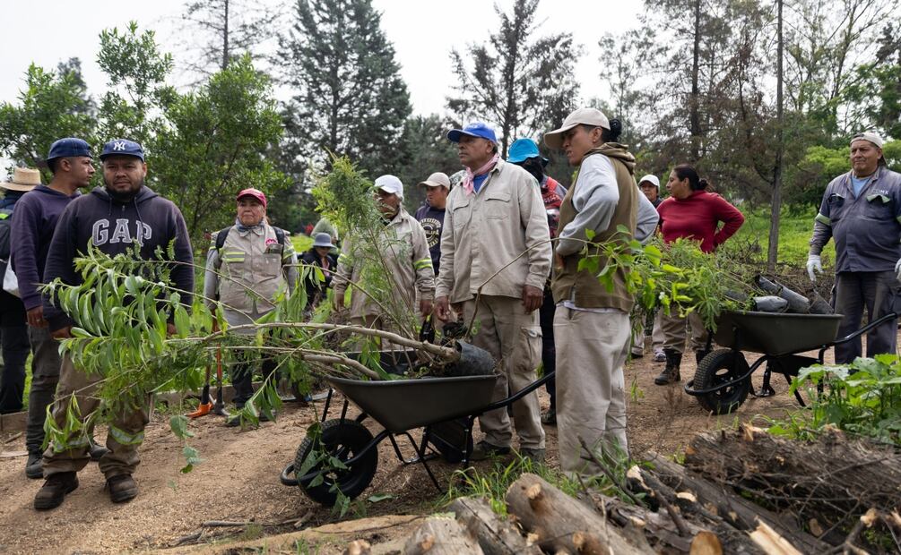 Reforestación Cerro de la Estrella. Foto: Hugo Salvador