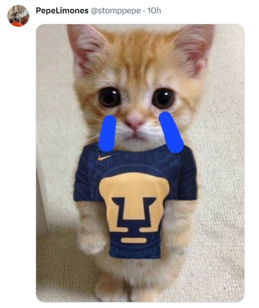 Los mejores memes de la derrota de Pumas ante Atlético de San Luis