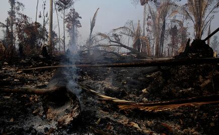 Las imágenes de los incendios registrados en la selva amazónica de Brasil