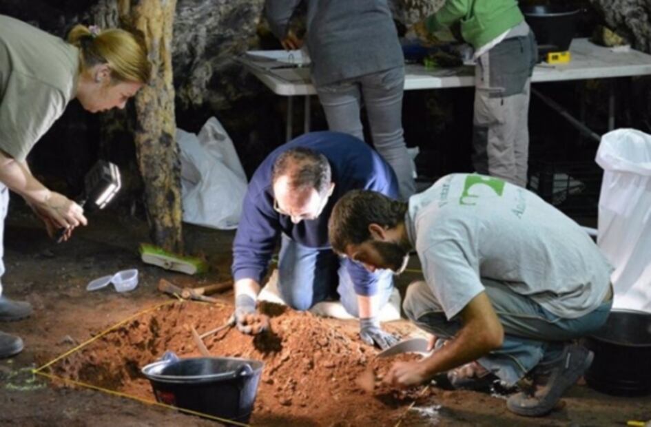 Pinturas rupestres de hace 65 mil años sugieren que los neandertales se organizaban perfectamente