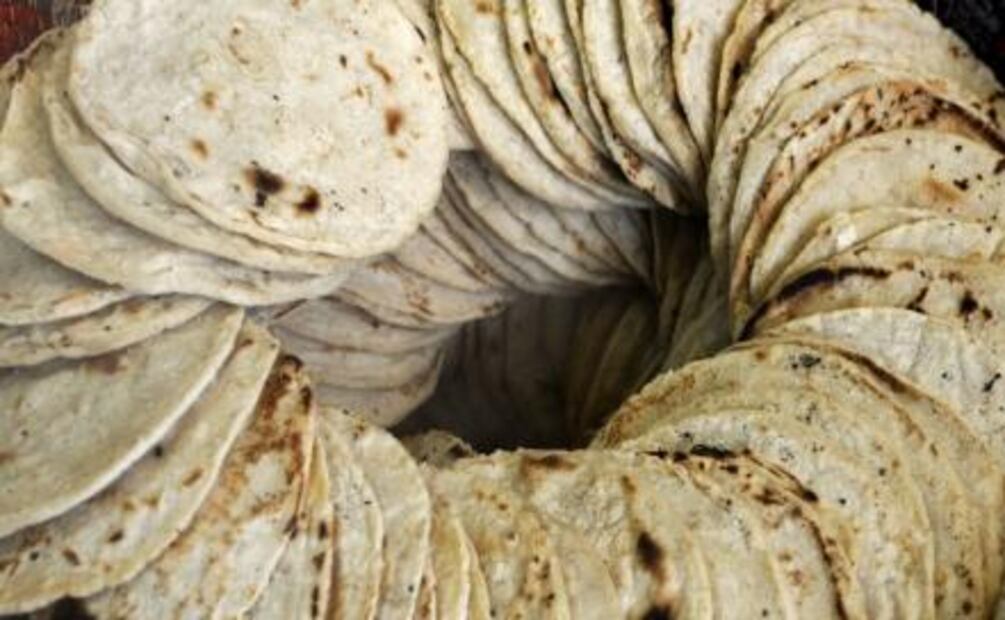 ¿Sabes cuántas toneladas de comida tira México a la basura?