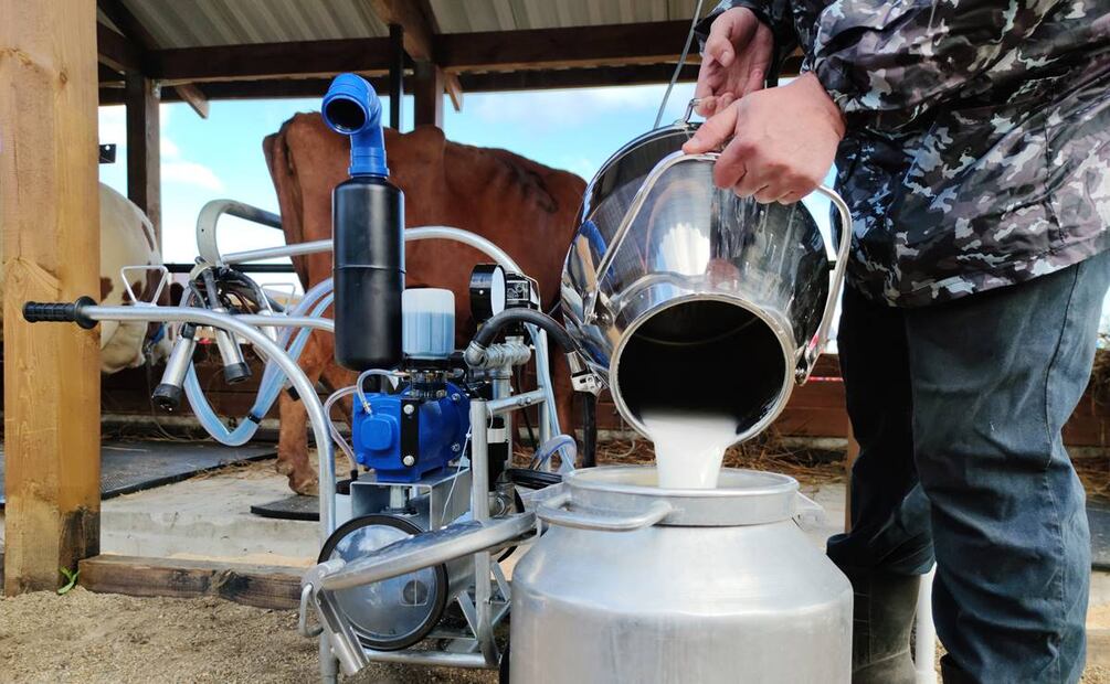 Del rancho a tu mesa, la leche de vaca tiene mucho que contar: iStock