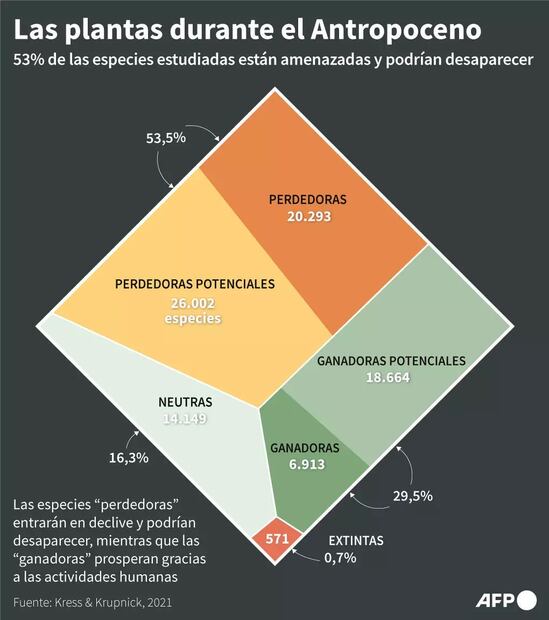 La situación de las plantas durante el periodo denominado "Antropoceno", durante el cuál se considera que el 53% de las especies salen "perdiendo". Foto: AFP