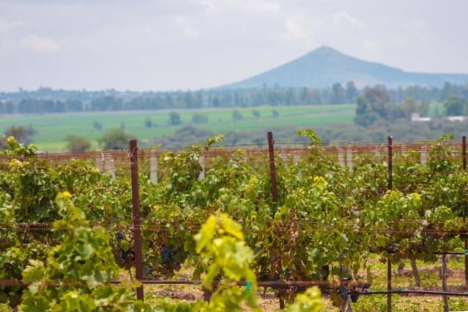 8 lugares de Querétaro que debes visitar al menos una vez