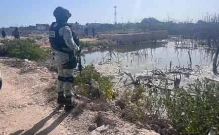 Realizan operativo en San Felipe, Yucatán, por posibles delitos ambientales; detectan tala y asentamientos irregulares