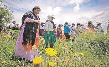 El 21% de las personas indígenas no tienen empleo: Conapred
