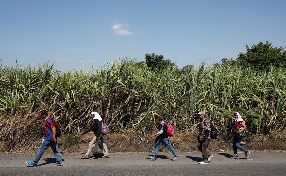 Migrants from Honduras, part of a new caravan from Central America trying to reach the United States, walk along a highway as they continue their trip to the border with Mexico - Photo: Luis Echeverría/REUTERS