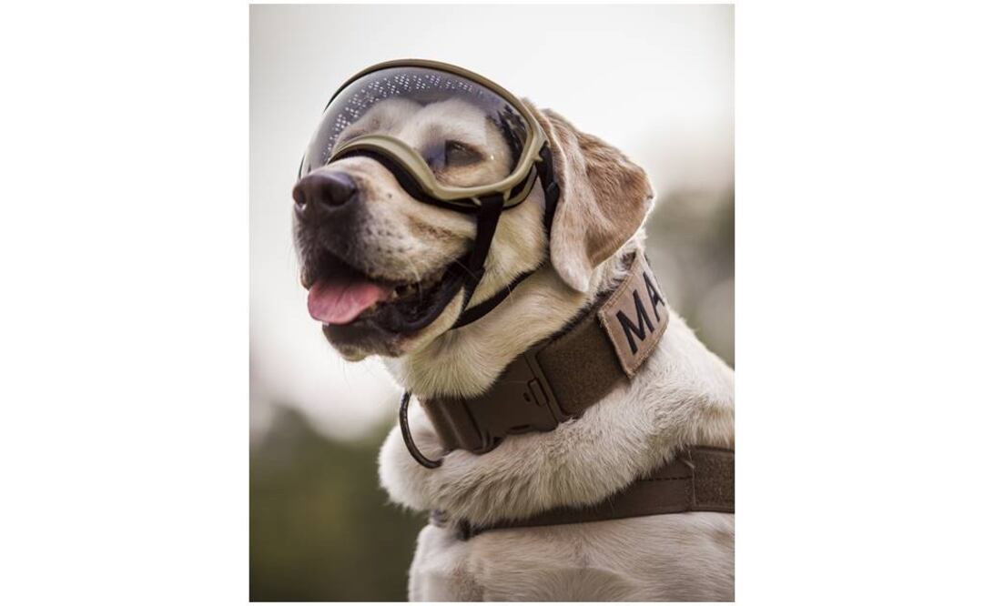 Alan Carranza / EL UNIVERSAL