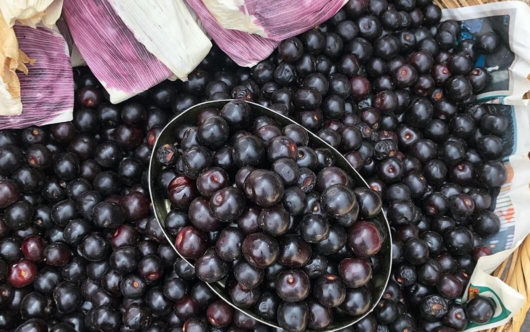 Foto: instagram @thecuriousmexican