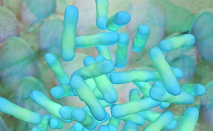 Bacteria Klebsiella oxytoca: Autoridades de Salud de Michoacán confirman 8 casos en menores; 3 niños fallecieron