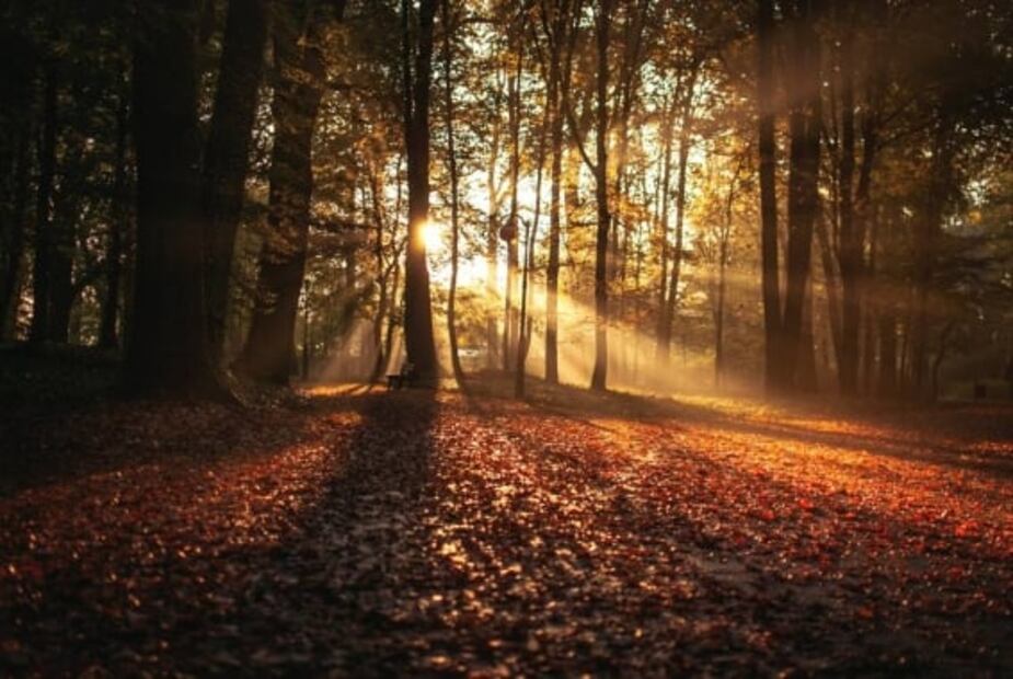 ¿Qué es el equinoccio de otoño y a qué hora empezará en México?