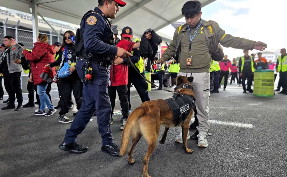 Killer y Zory, los perritos policías que cuidan los conciertos de Bad Bunny en CDMX.
Foto: Especial.
