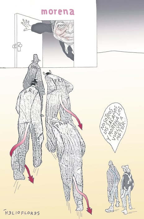 Cartón de HELIOFLORES