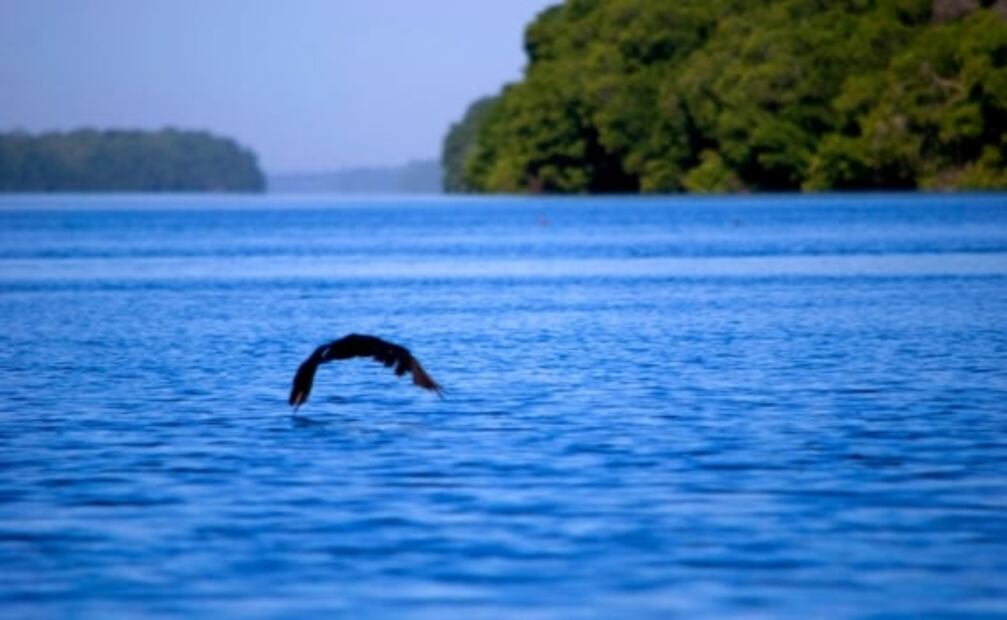 10 lugares en México para disfrutar la naturaleza y aislarte del mundo