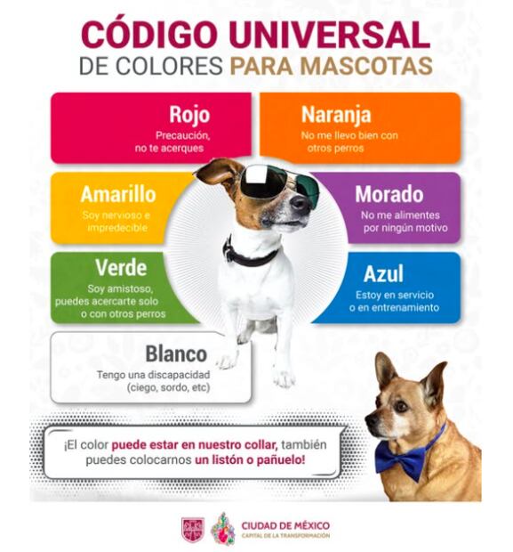 En el formato universal, cada color de collar representa el comportamiento de tu mascota. Foto: gob cdmx