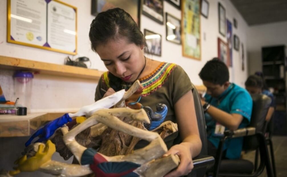 Alebrijes de Oaxaca reciben protección contra plagios en todo el mundo