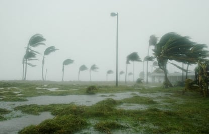 ¿Qué es el fenómeno de La Niña y El Niño y qué efectos se reflejarán en México?