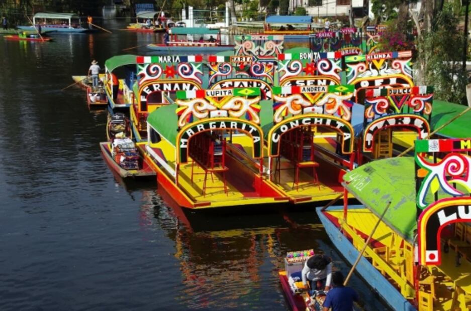 Lucha libre y otros tours guiados en CDMX y alrededores