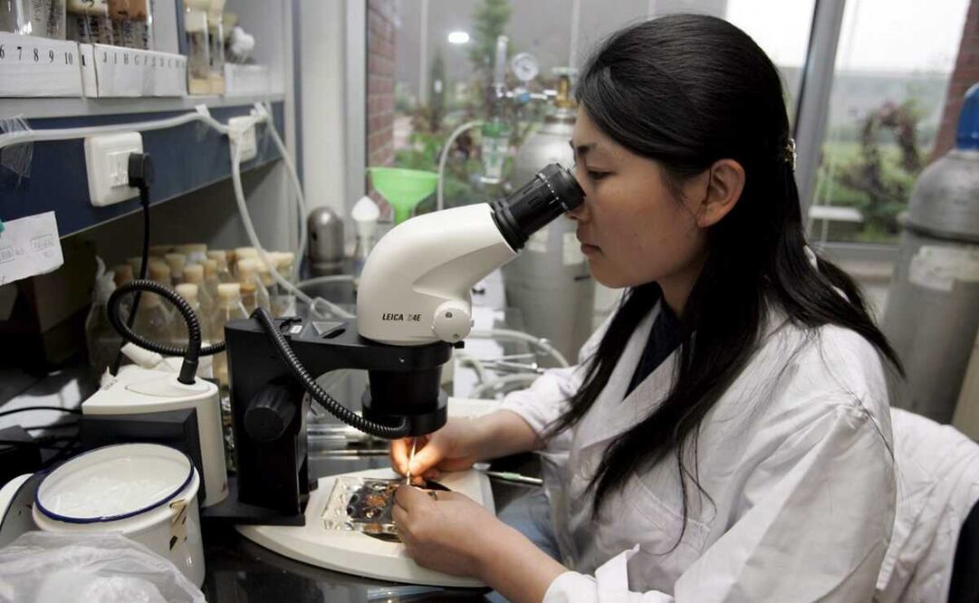 Imagen ilustrativa de científica. Foto: EFE/Michael Reynolds, archivo 