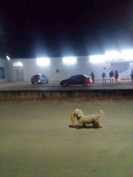 Max, 'el saqueadorcito' de Chetumal, recibe regalos 