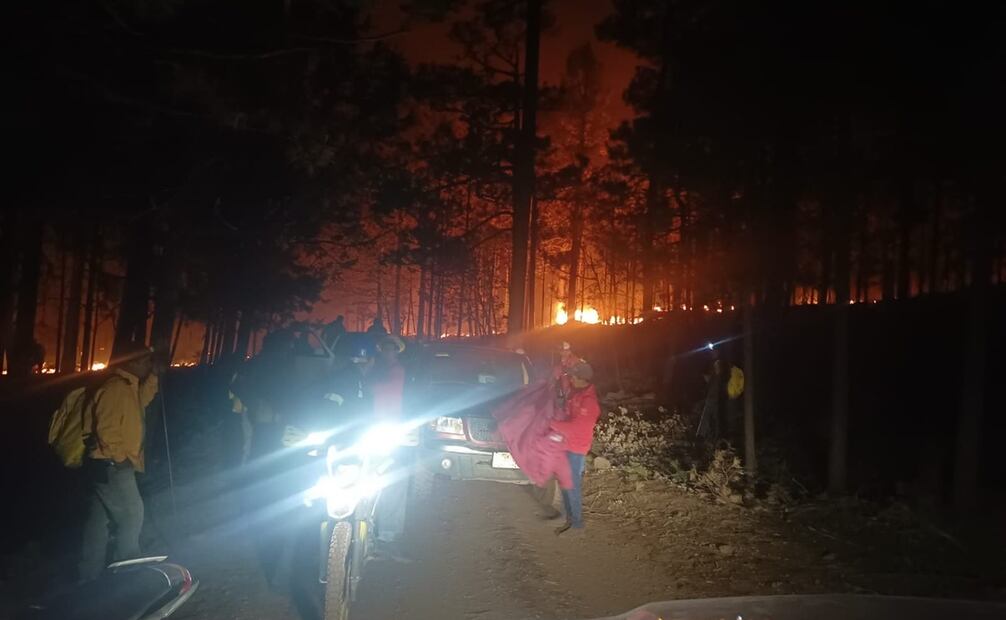 Un grupo de 320 brigadistas trabaja en el combate de los 15 incendios activos. Foto: especial