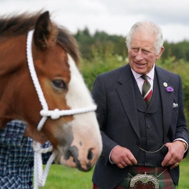 Conoce el perfume favorito del rey Carlos III, según el príncipe Harry