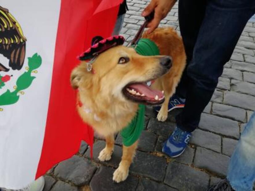 Vicente, la sensación en la Plaza Roja
