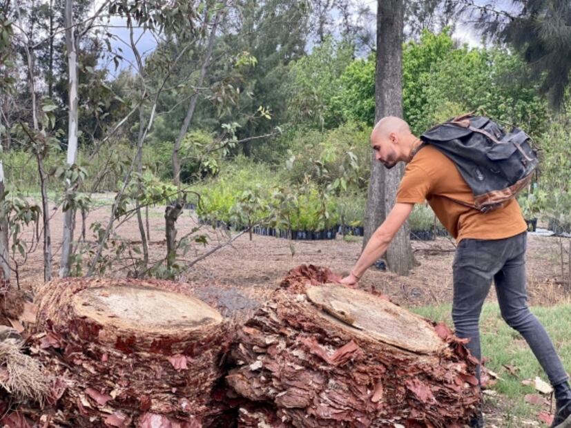Dos artistas visuales y un escultor, los encargados de convertir a La Palma en una obra de arte