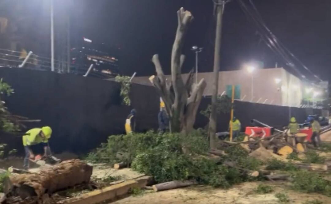 Foto: Archivo EL UNIVERSAL