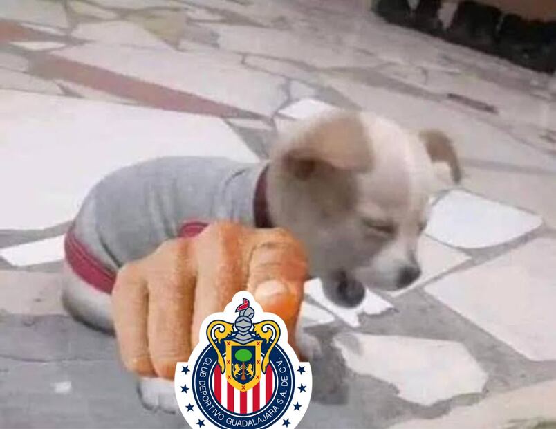 MEMES de Chivas tras empatar ante Bravos; así se burlan las redes del equipo rojiblanco