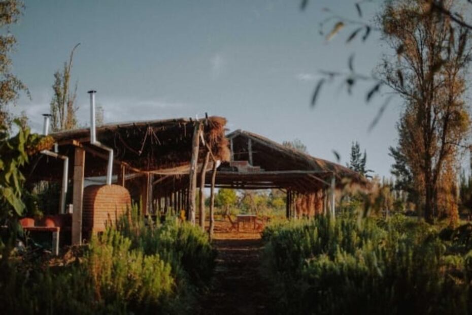 7 tours en Xochimilco fuera de lo común y que no querrás perderte