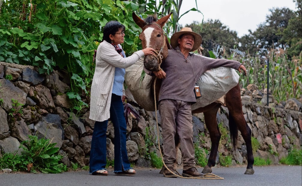 Laurencia Melo señala que el maíz que siembra junto a su esposo proviene de semillas que se han reciclado desde hace más de 50 años. Foto: Fernanda Zamora / EL UNIVERSAL