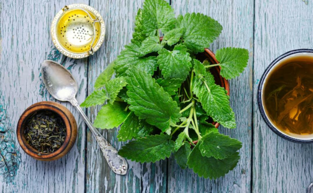 Consumirla después de las comidas, dos veces al día, puede brindar beneficios visibles a mediano plazo.
Foto: Pixabay