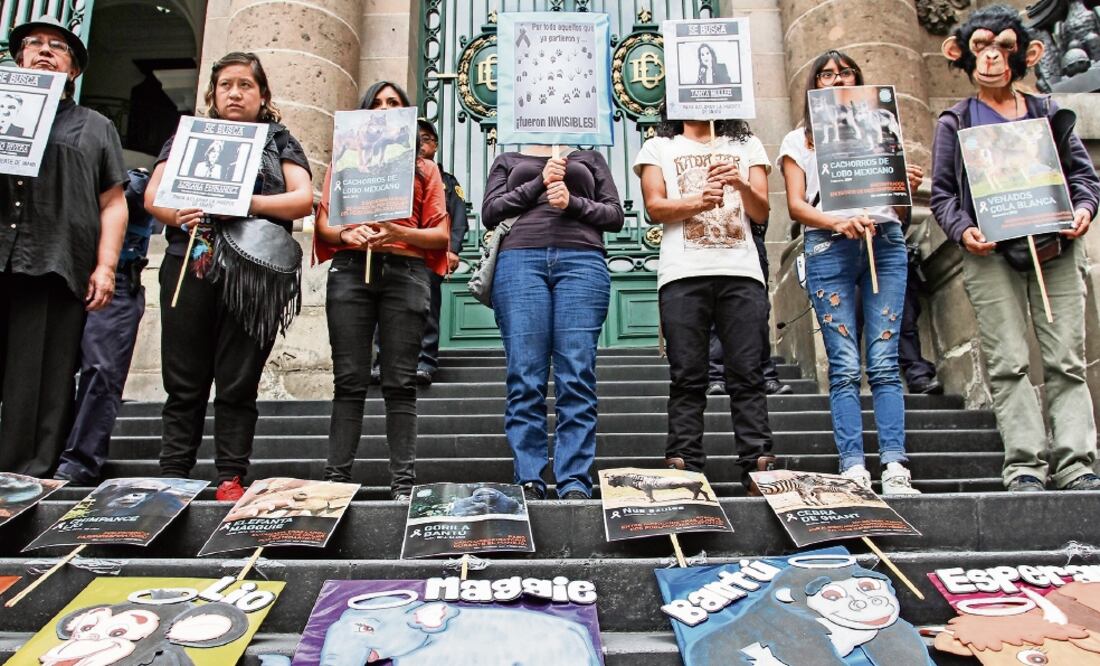 Activistas lanzaron consignas, afuera de la Asamblea, en contra del maltrato animal en los zoológicos de la capital del país (MARÍA JOSÉ MARTÍNEZ. CUARTOSCURO)