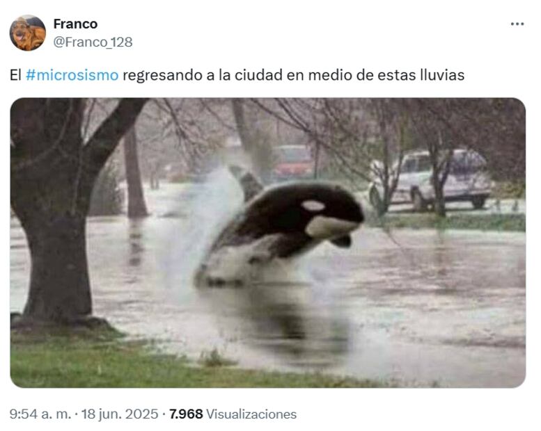 Usuarios de redes sociales decidieron tomar con humor los microsismos que se registraron hoy en algunas alcaldías de la Ciudad de México