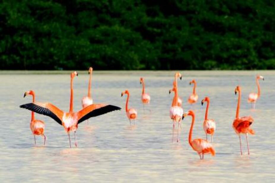 13 atractivos y tradiciones que solo puede darnos Yucatán