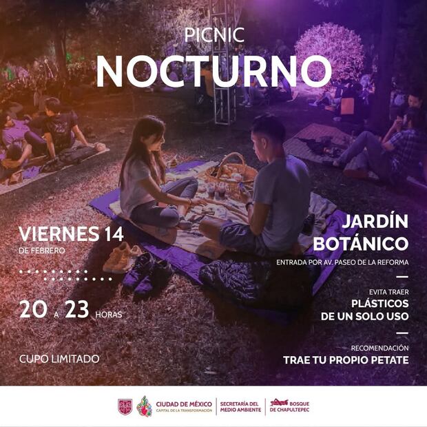 Picnic Nocturno en Chapultepec. Foto: Bosque de Chapultepec