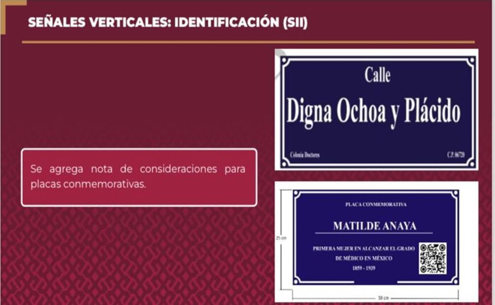 Nuevos señalamientos de tránsito: Identificación. Foto: Especial.