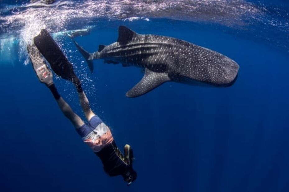 Baja California ofrece experiencia relajante e inmersiva con sus escenarios naturales