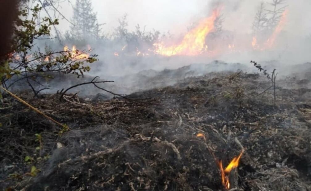 Humo de incendios en Siberia alcanzan a Alaska