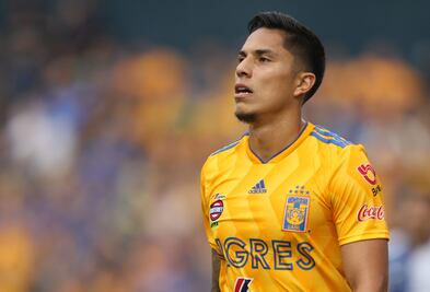 ¿Se molestaron en Tigres por las declaraciones de Salcedo?