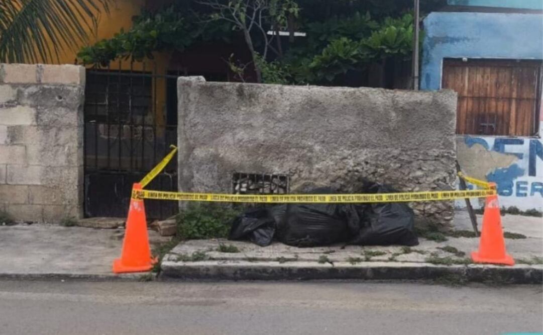 Acto de crueldad en el centro de Mérida, envenenan a nueve perros.
Foto Especial