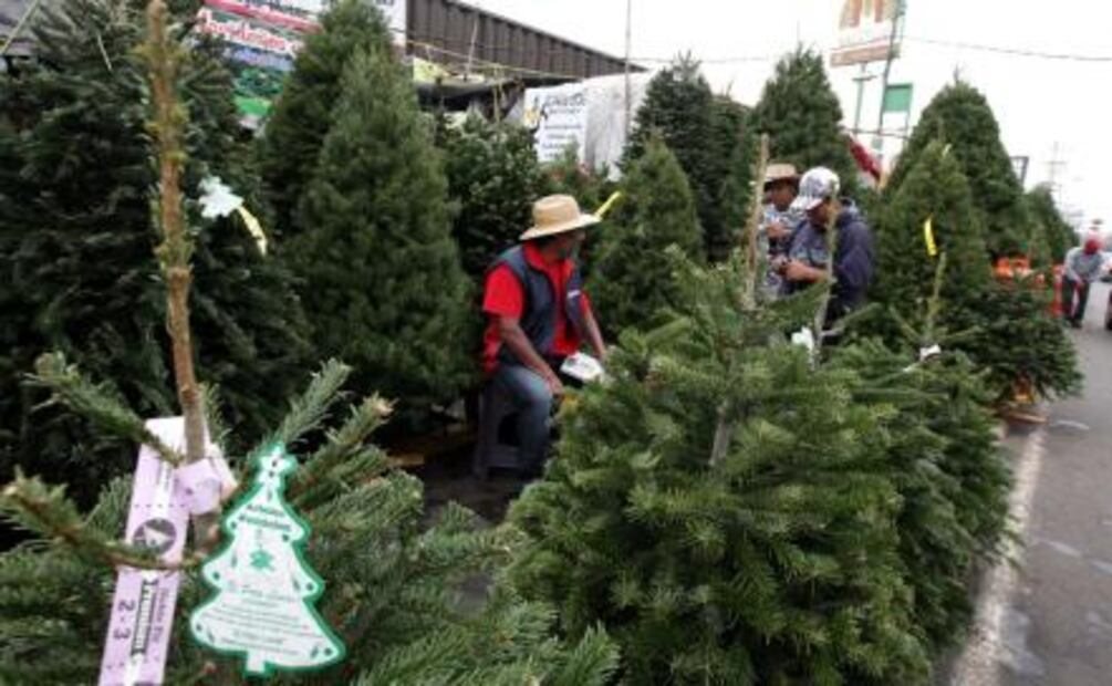 ¿Comprarás árbol de Navidad? Adquiere #HechoEnMéxico