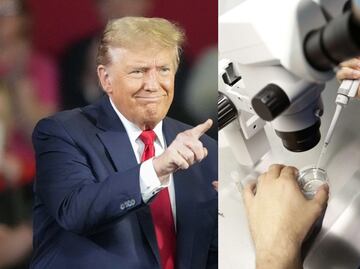 Trump "apoya firmemente" la fecundación 'in vitro' tras el fallo del Supremo en Alabama