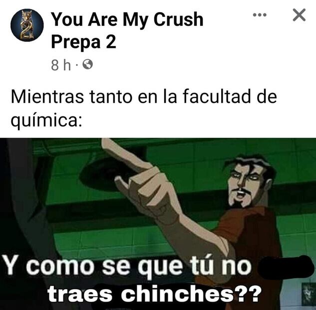 Memes de chinches en la UNAM. Foto: Redes Sociales